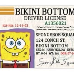 Meet your Posher, Jaylene